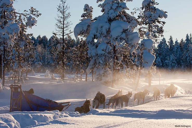 d82a3726334f4379afdb97b330a77602Matti_Holmgren_dogsledding_3_lg