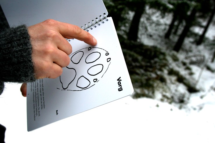 Vargsafari i Skinnskatteberg