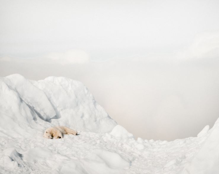 annie-spratt-YXPKFBsLtkc-unsplash