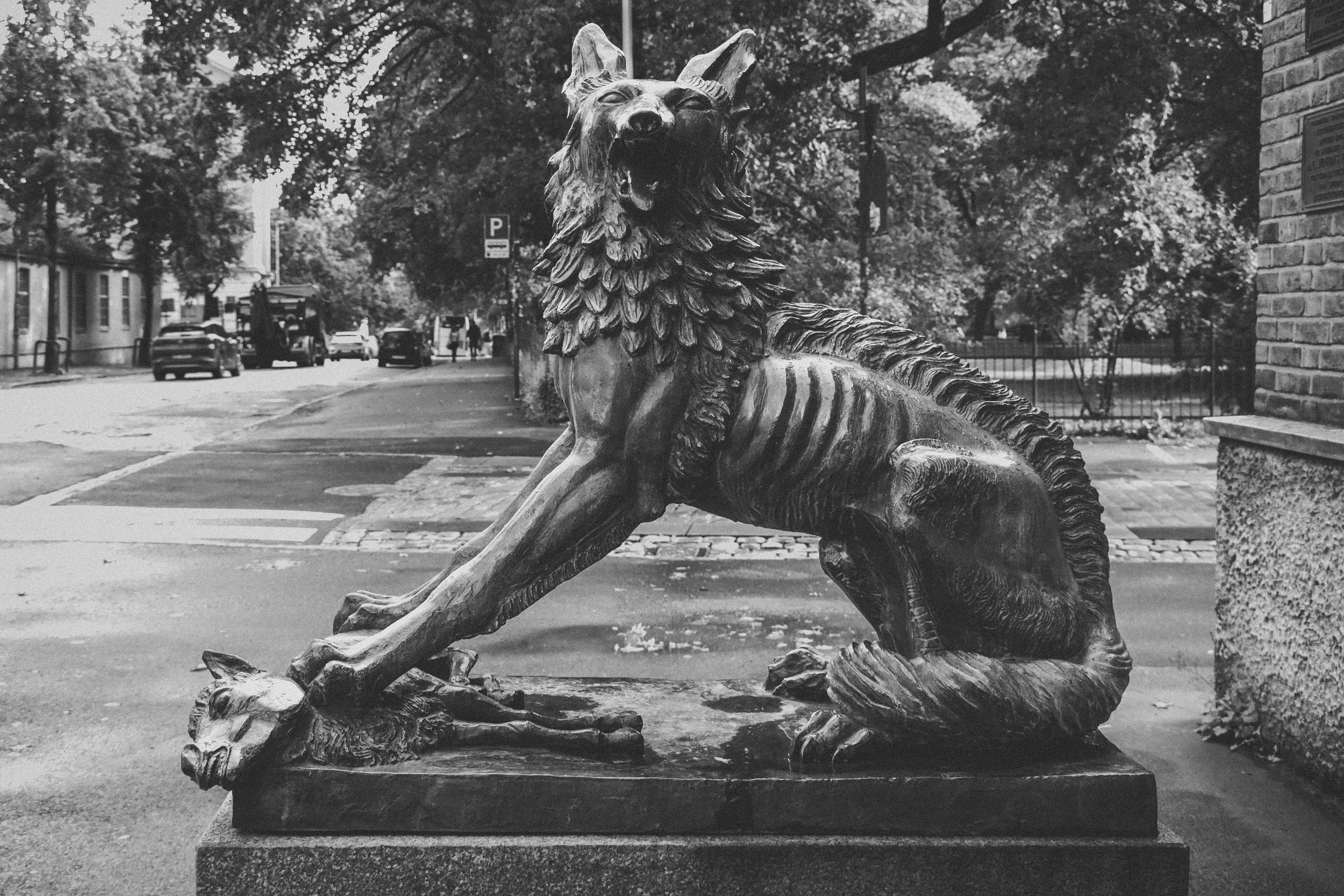 A Wolf In Trondheim – Northern Fever